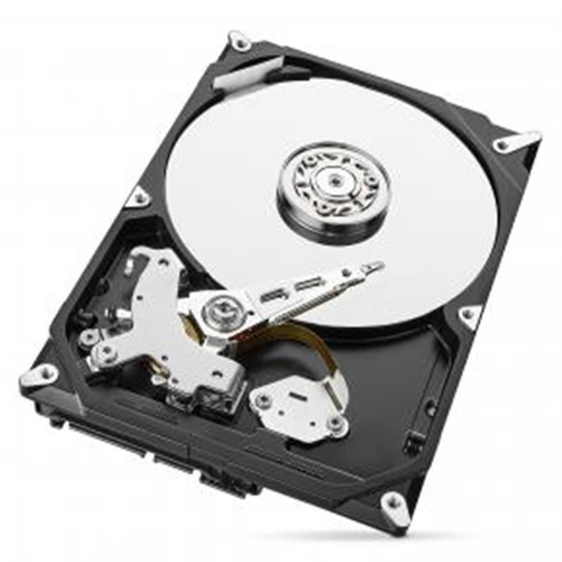 Seagate Barracuda ST1000DM010 interne harde schijf 3.5"" 1000 GB SATA III