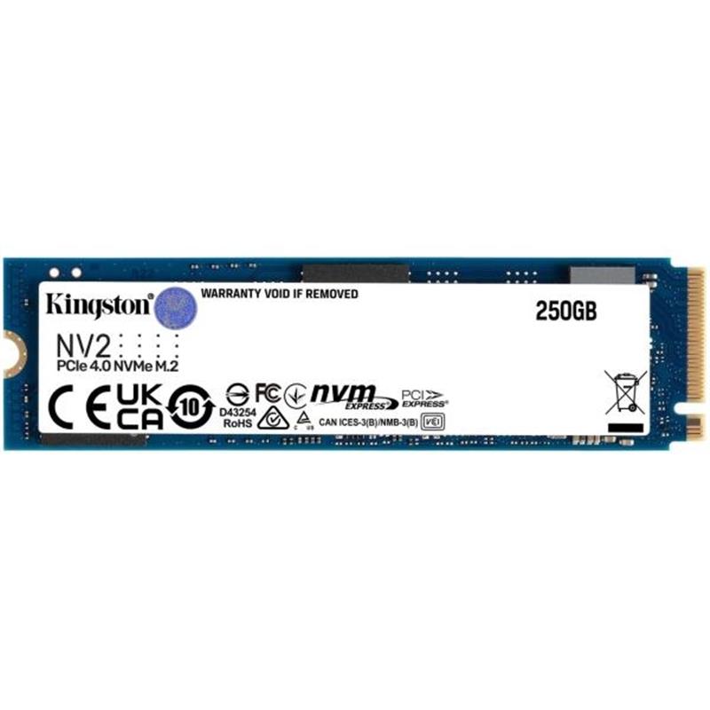 250G NV2 M 2 2280 PCIe 4 0 NVMe SSD