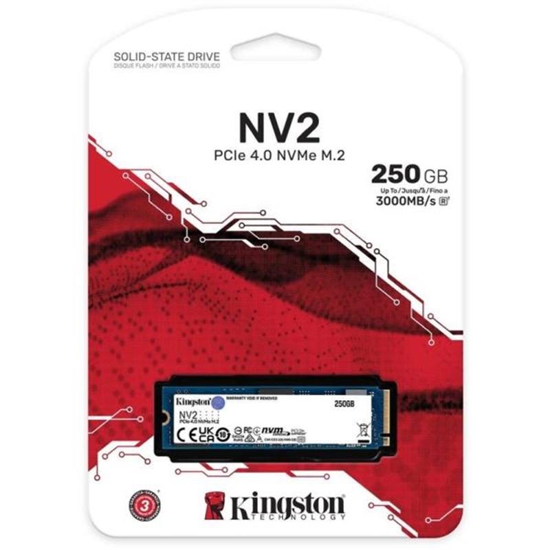 250G NV2 M 2 2280 PCIe 4 0 NVMe SSD