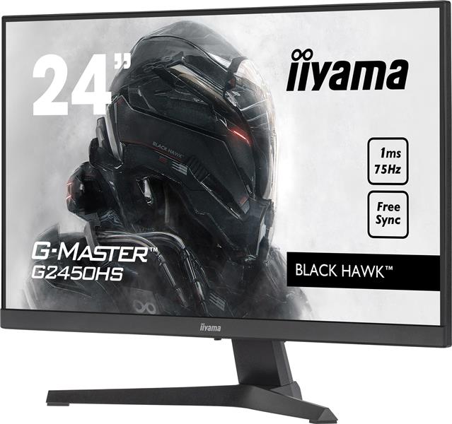 IIYAMA 24inch ETE VA