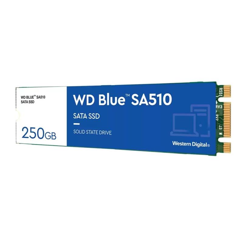 Western Digital WD SSD Blue SA510 250 GB M 2 SATA 555 440 MB s