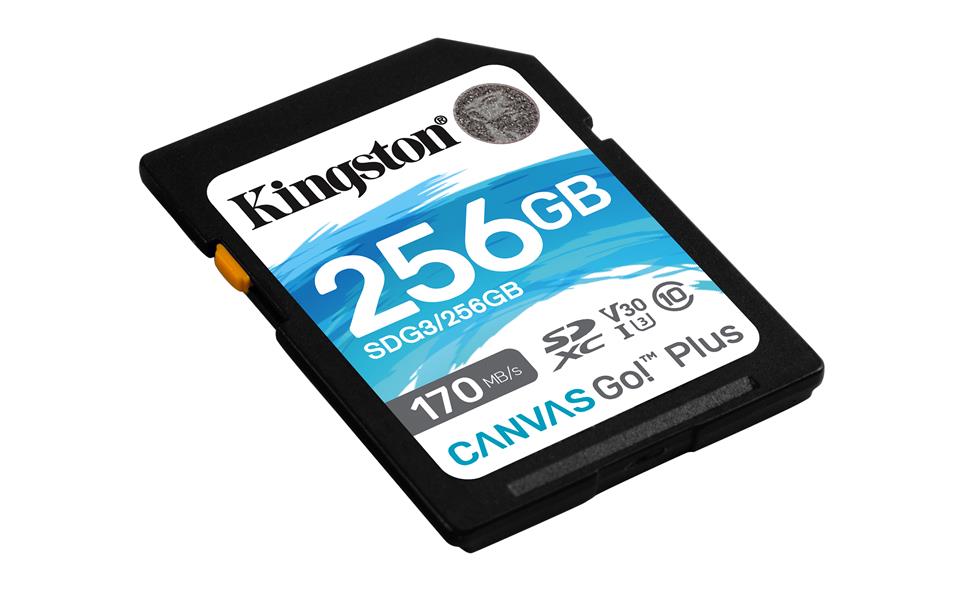 Kingston Technology Canvas Go! Plus flashgeheugen 256 GB SD Klasse 10 UHS-I