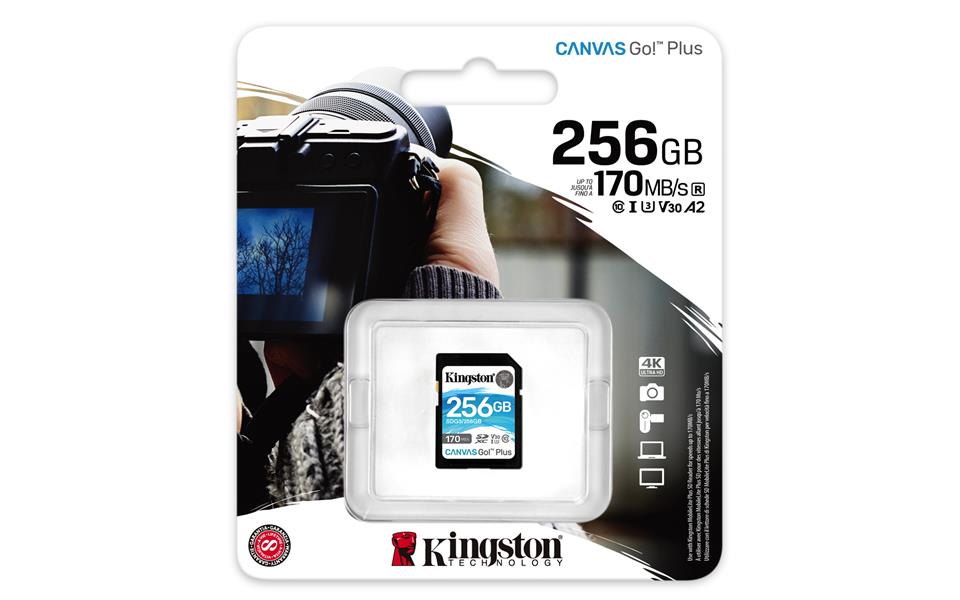 Kingston Technology Canvas Go! Plus flashgeheugen 256 GB SD Klasse 10 UHS-I