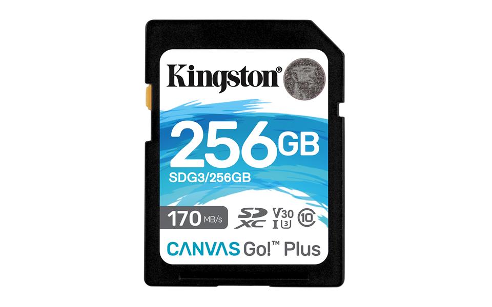 Kingston Technology Canvas Go! Plus flashgeheugen 256 GB SD Klasse 10 UHS-I