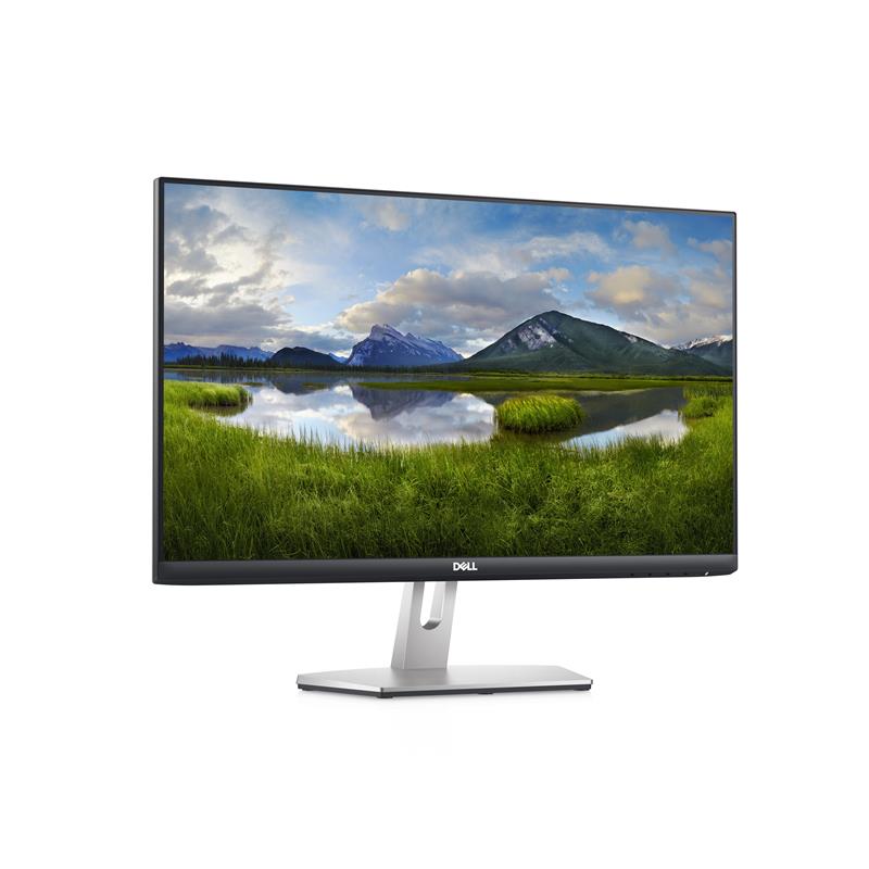 DELL S Series S2421HN 60,5 cm (23.8"") 1920 x 1080 Pixels Full HD LCD Grijs