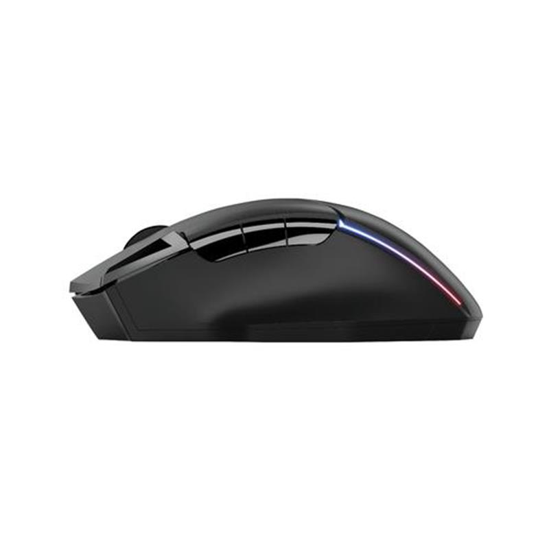 Trust GXT 131 Ranoo muis Rechtshandig RF Draadloos Optisch 4800 DPI
