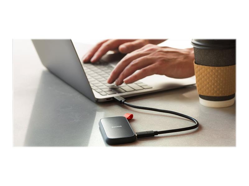 SanDisk Portable 480 GB Blauw
