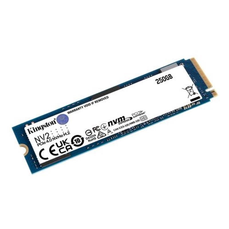 250G NV2 M 2 2280 PCIe 4 0 NVMe SSD